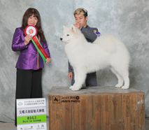 欧丽 - BIS.CN.CH.Ouli Of Mo Wang Jia Zu Kennel (FCI)