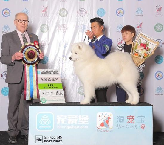 力量（Power）- BIS CN GCH.INT.CN.CH.Power of Mo Wang Jia Zu Kennel (FCI)