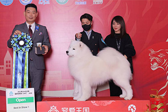 点击查看详细