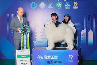 点击查看详细