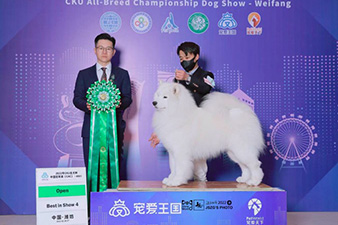 点击查看详细