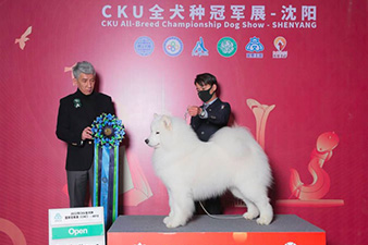 点击查看详细