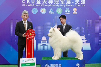 点击查看详细