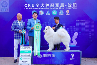 点击查看详细