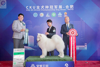 点击查看详细