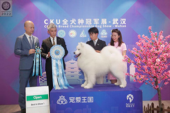点击查看详细