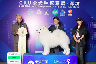 点击查看详细