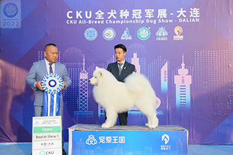 点击查看详细