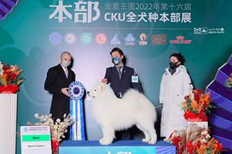 点击查看详细