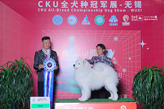 点击查看详细