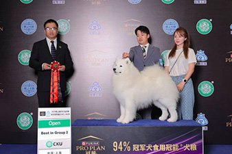 点击查看详细