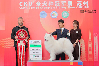 点击查看详细