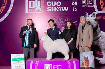 点击查看详细